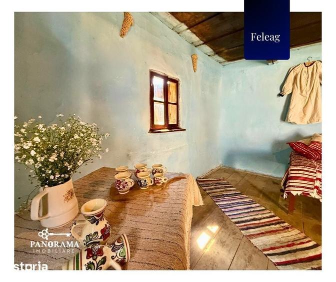 Casă cu 3 camere cu Teren 1590 Mp în Vânători