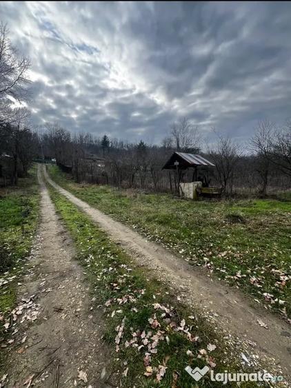 Casă cu 3 camere în Brabova