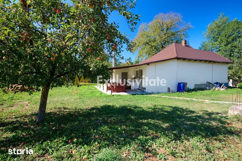 Casă cu 4 camere cu Teren 1586 Mp în Coșești