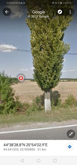 Teren Construcții intravilan de 80975 mp, în Crevedia