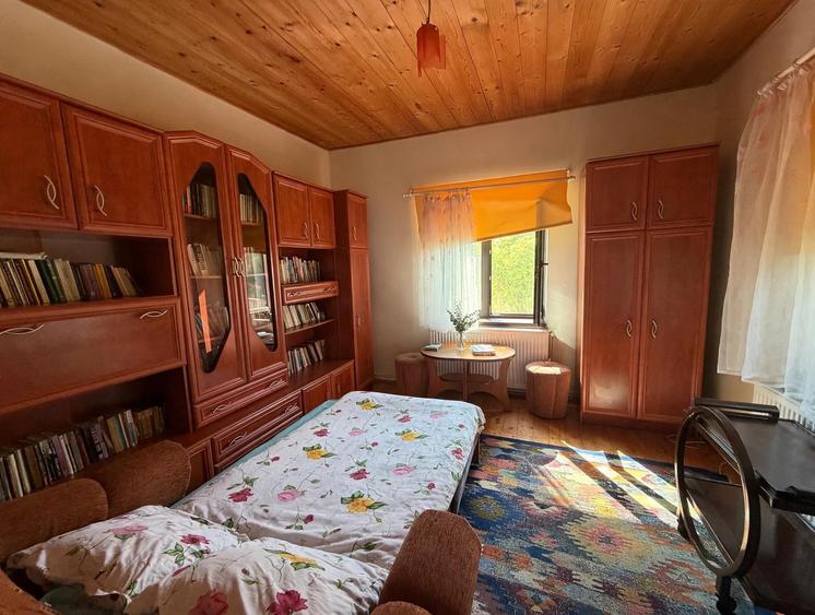 Casă individuală cu 4 camere cu Teren 6642 Mp în Pianu de Sus