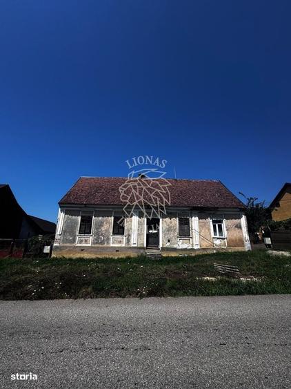Casă cu 3 camere în Crainimăt