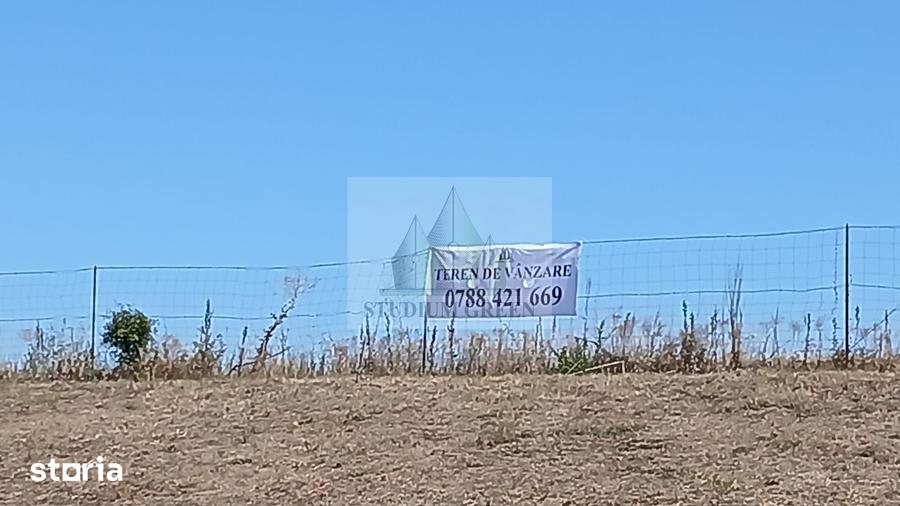 Proprietar vand teren in Giarmata- zona Petrom-350000mp parcelabil - 3