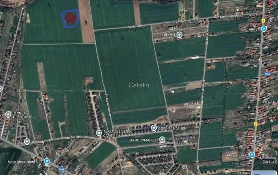 Teren intravilan Balotesti