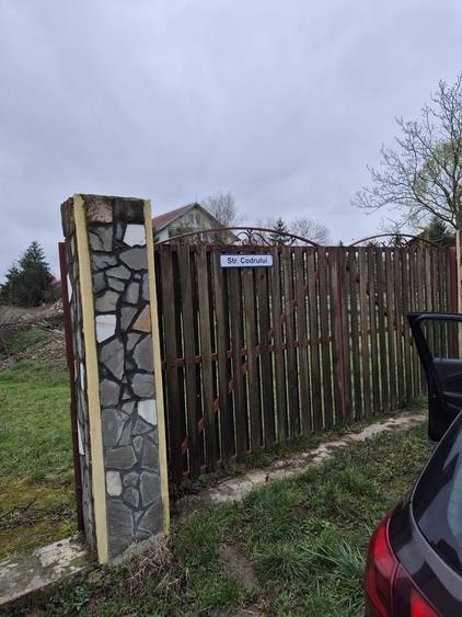 Tartasesti, Gulia, str. Codrului - 2