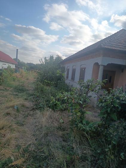 Casă cu 4 camere în Galicea Mare