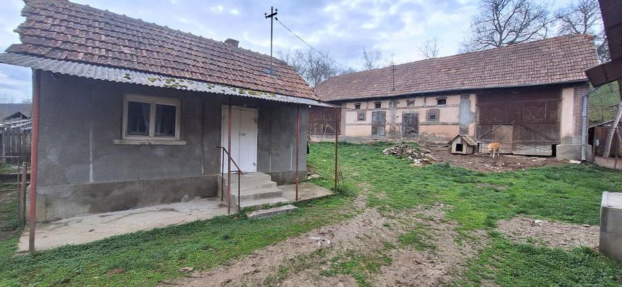Casa de vanzare la tara - 5
