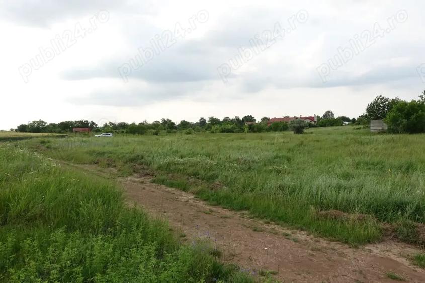 Teren de 10100 mp, în Tâncăbești