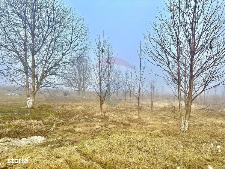 Teren de 500 mp, în Girov