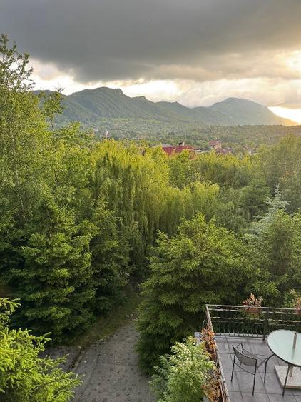 Casă individuală cu 5 camere cu Teren 5200 Mp în Bran