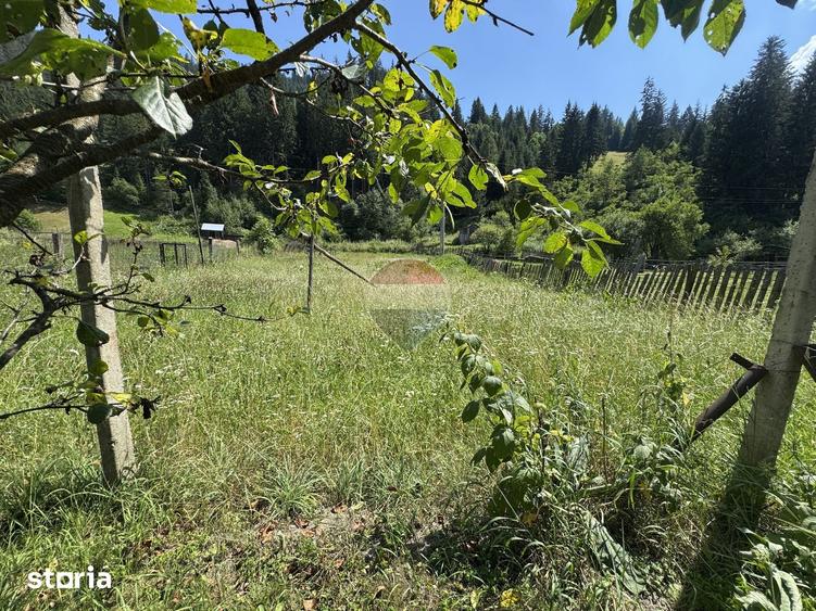 Teren de 1342 mp, în Borca
