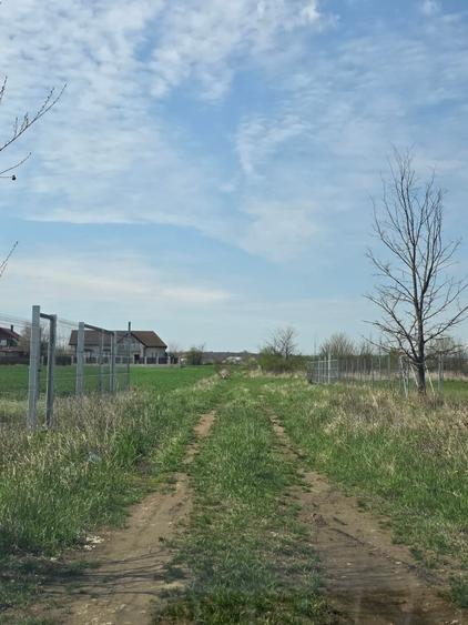 Teren Construcții intravilan de 1080 mp, în Ciolpani