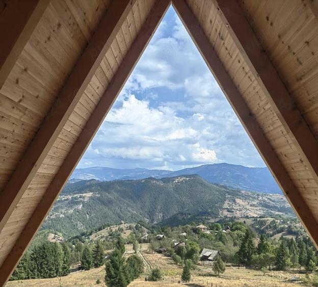 Teren de 5952 mp, în Albac