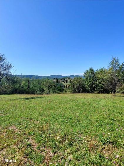 Teren de 8757 mp, în Luncoiu de Jos
