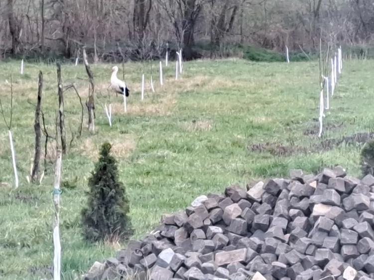 Casă cu 3 camere cu Teren 2730 Mp în Miersig