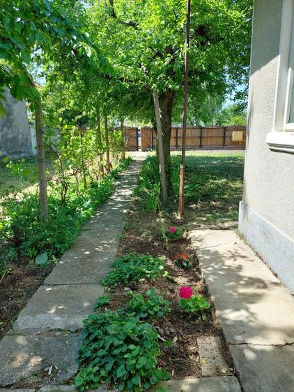Casă cu 2 camere cu Teren 616 Mp în Drăgășani