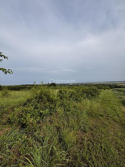 Titlu: Teren intravilan 1.700 mp + extravilan 17.800 mp Valea Calugareasca
