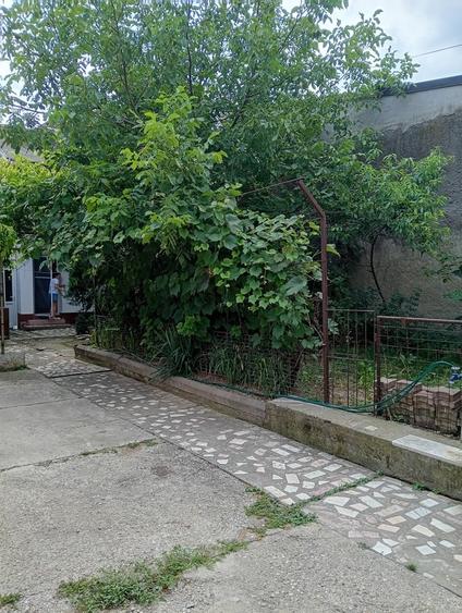 Casă cu 4 camere cu Teren 300 Mp în Tei