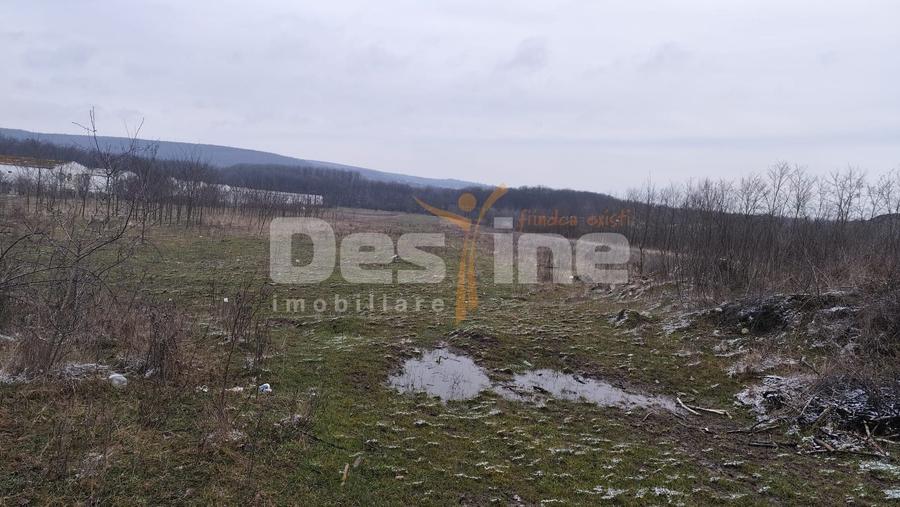 Teren agricol intravilan de 12500 mp, în Vest