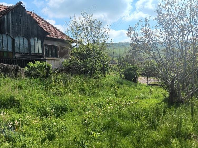 Teren de 3600 mp, în Miceștii de Câmpie