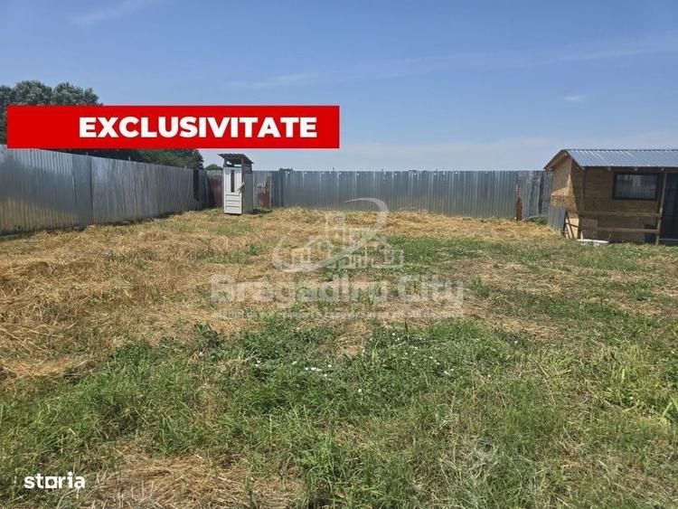 Teren ingradit gaz si curent in fata lui Domnesti Teghes - 1