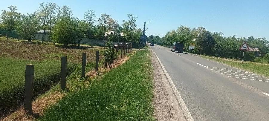 Teren de 16600 mp, în Surdila-Greci