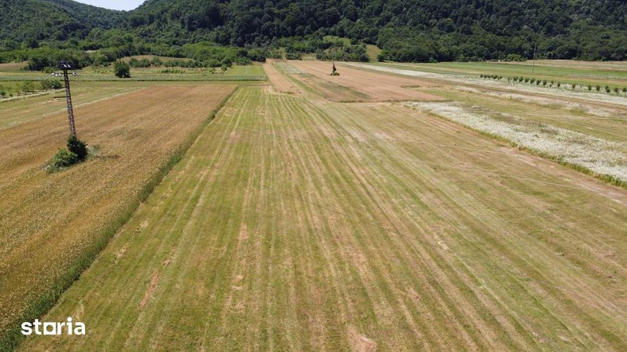 Teren de 5000 mp, în Măgureni
