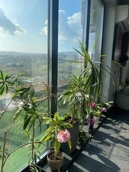 Apartament cu 3 camere semidecomandat, mobilat în Borhanci