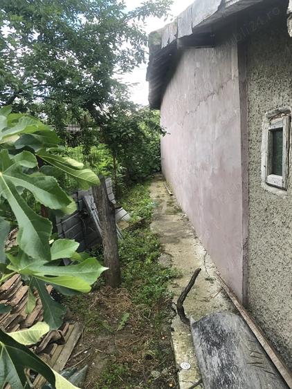 Teren intravilan cu casa batraneasca in Caldararu Ilfov - 9
