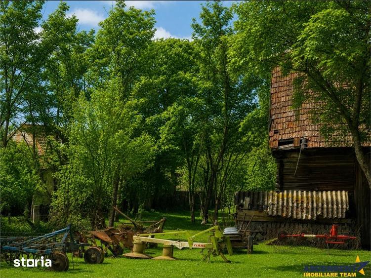 Teren de 4831 mp, în Boroșneu Mare
