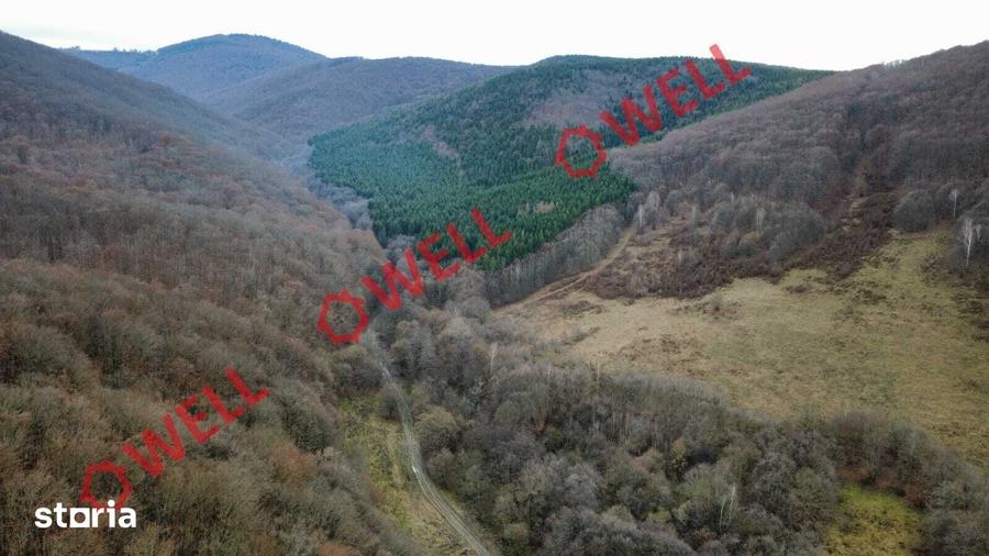 Teren de 5000 mp, în Malnaș