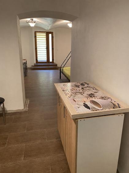 Apartament  cu o camera, 35 mp utili, demisol, zona Piata Maria - 1