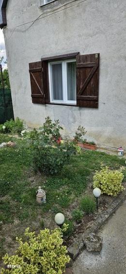 Casa 4 camere 126 mp utili, 700 mp teren, zona Viile Satu Mare - 1