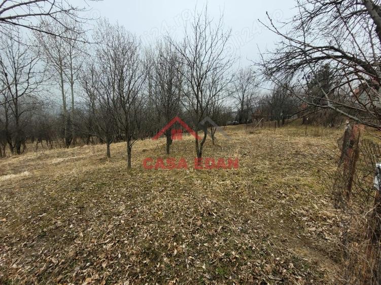 Casă cu Teren 1358 Mp în Gura Beliei