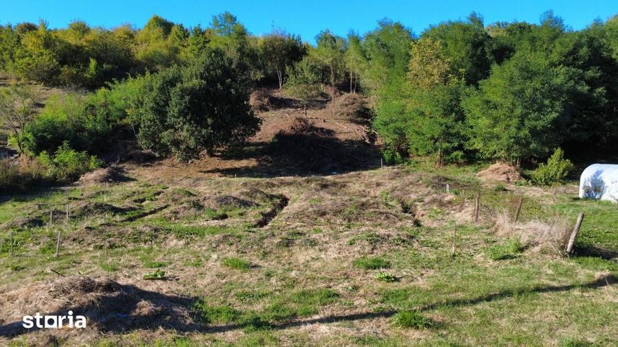 Teren de 9371 mp, în Mărgineni
