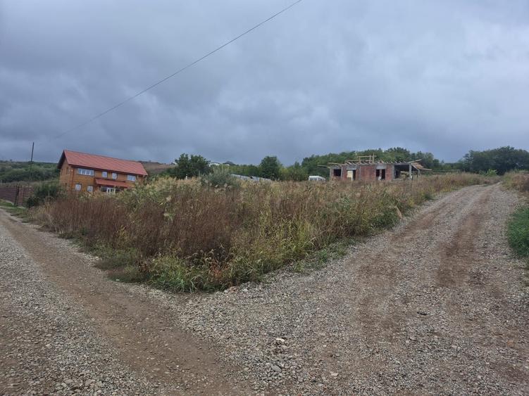 Spațiu comercial, în Valea Lupului