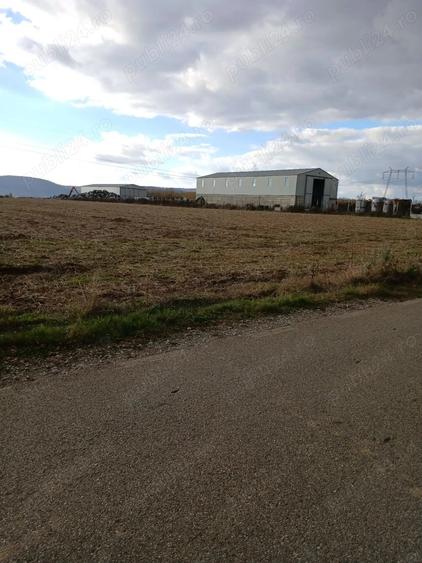 Teren de 5000 mp, în Urleta