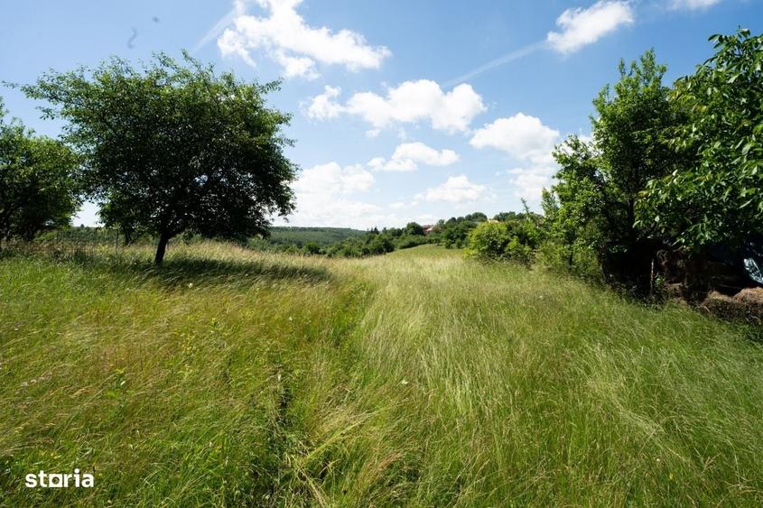 Teren de 2915 mp I Autorizatie pentru Duplex I Feleacu - 4