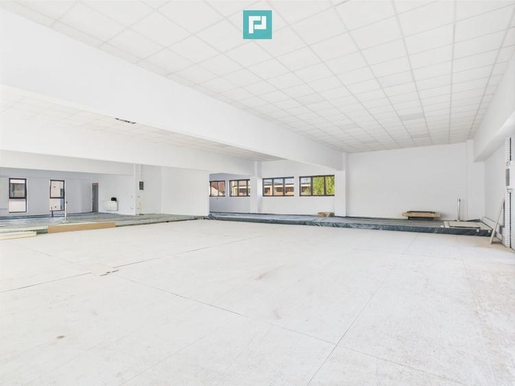 Spații Comerciale între 70 și 350 mp în Dumbrăvița - 3