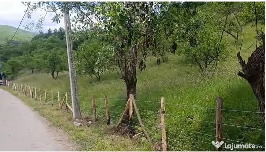 Teren de 13000 mp, în Rucăr