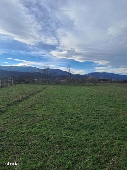Teren de 500 mp, în Central