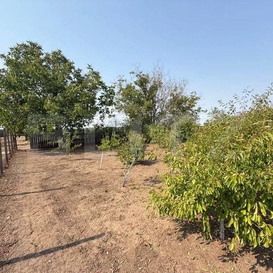 Casă cu 3 camere cu Teren 1700 Mp în Central