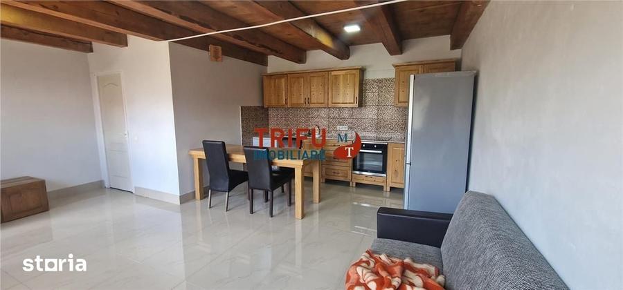 Casă cu 3 camere cu Teren 430 Mp în Tolstoi