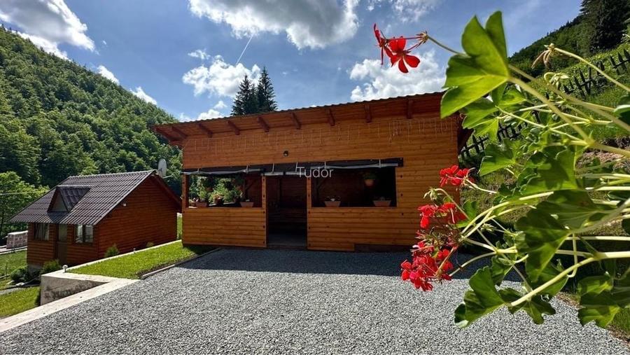 Cabana Lazea- Garda Seaca