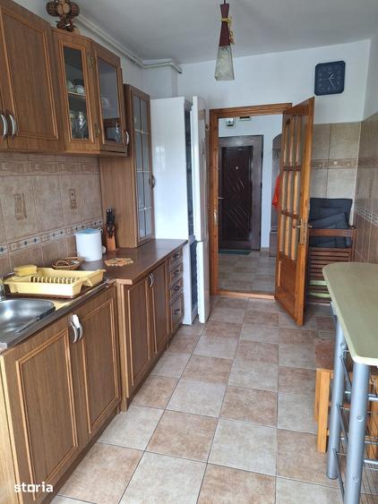 Abator, Sos. Mangaliei, 2 decomandate, 52 mp, la cheie, gaze, 370 Euro - 3