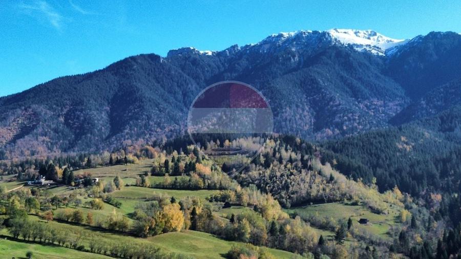 Teren agricol intravilan de 3000 mp, în Sohodol