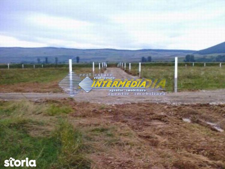 Vanzare Teren Intravilan 402 mp. Alba Micesti cu PUZ aprobat - 5