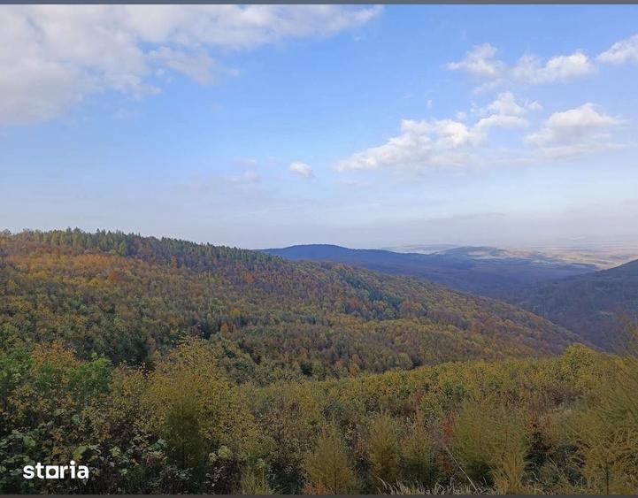 Casă cu 3 camere cu Teren 6000 Mp în Târnova