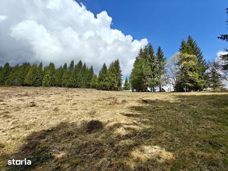 Teren de 3040 mp, în Beliș