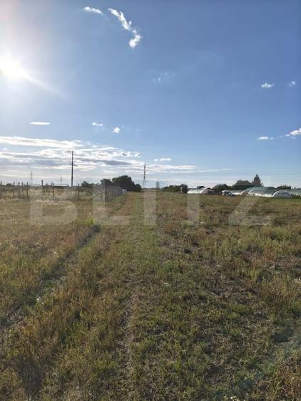 Teren agricol extravilan de 500 mp, în Careiului